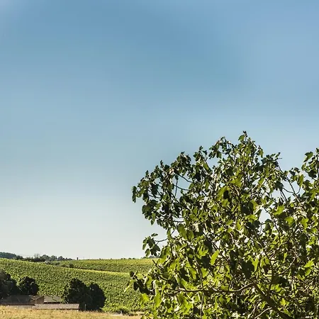 Greta, Enjoy Staying Together Again In Pure Nature Villa Orvieto